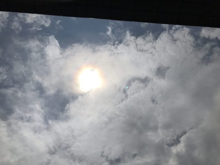 さあ夏至だ！