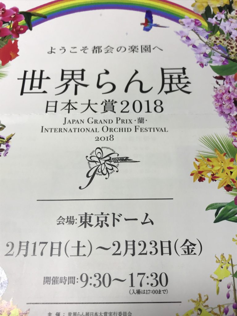 オーキッド