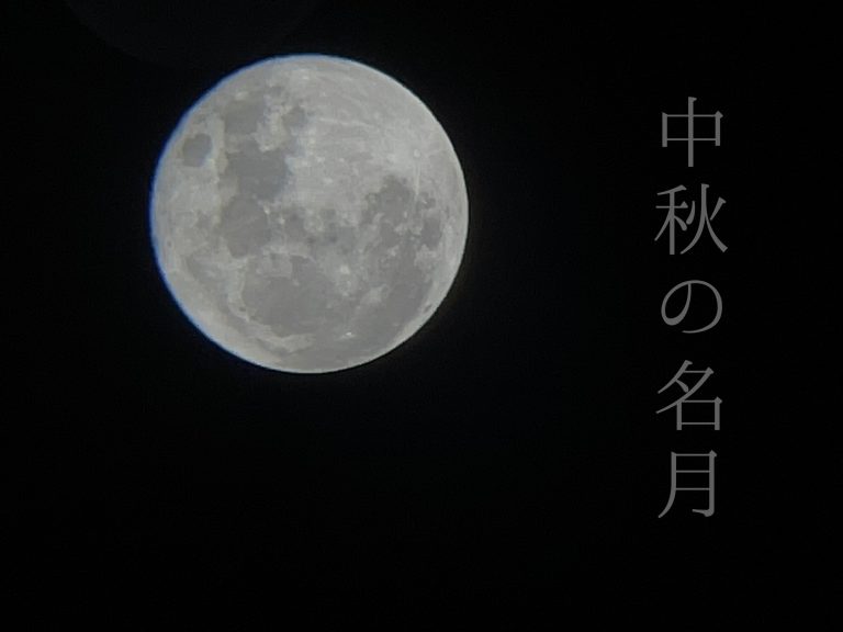 すっかり秋ですね