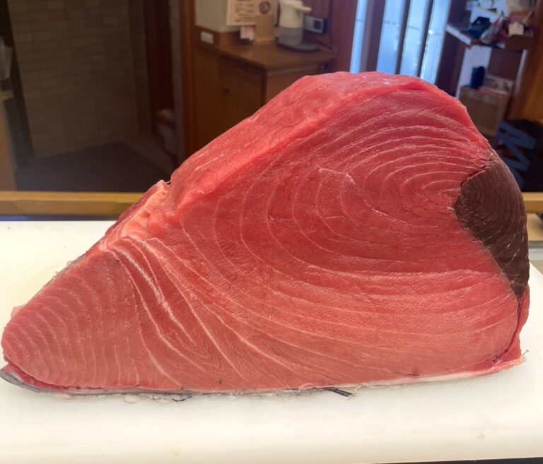 今シーズンの初大間！