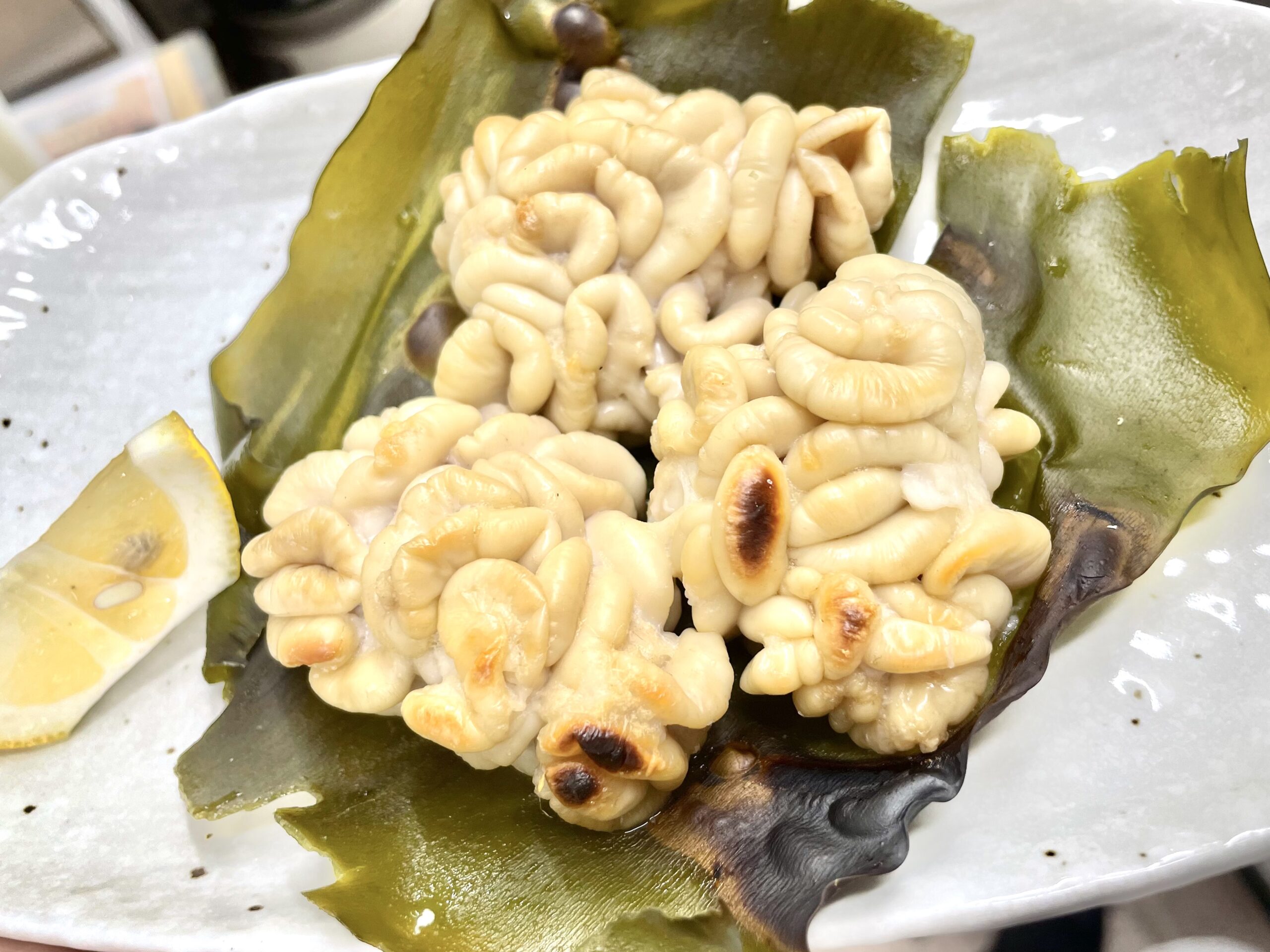 shirako_yaki